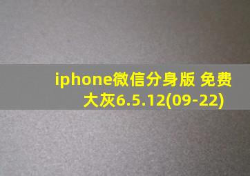 iphone微信分身版 免费大灰6.5.12(09-22)